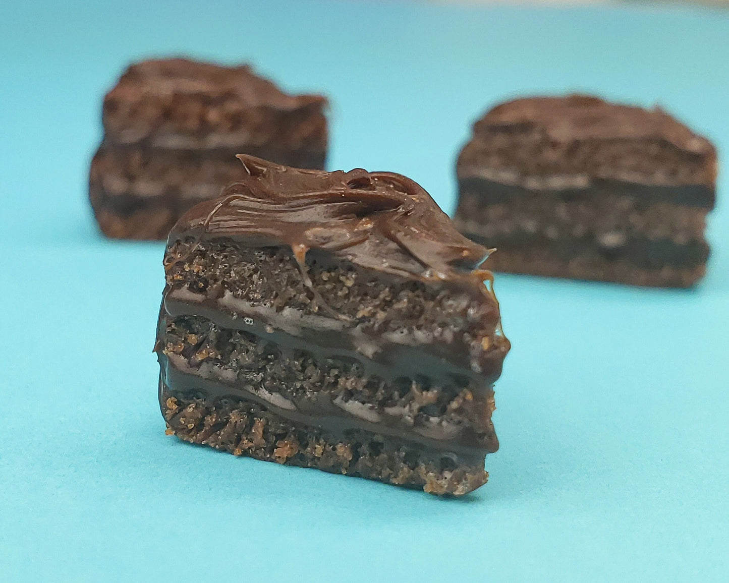 Chocolate Fudge Cake Slice Earrings